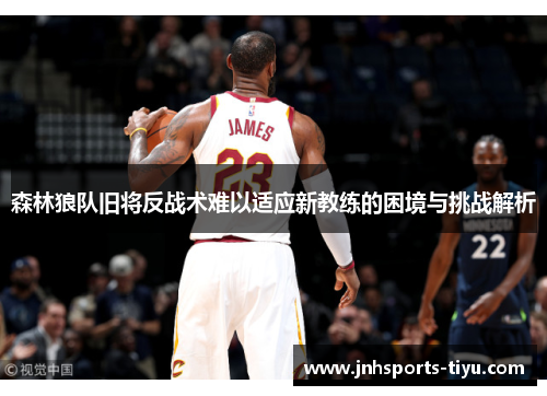森林狼队旧将反战术难以适应新教练的困境与挑战解析