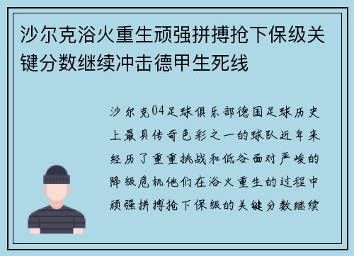 沙尔克浴火重生顽强拼搏抢下保级关键分数继续冲击德甲生死线