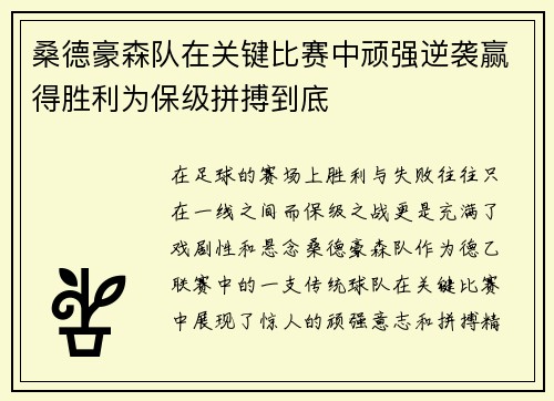 桑德豪森队在关键比赛中顽强逆袭赢得胜利为保级拼搏到底