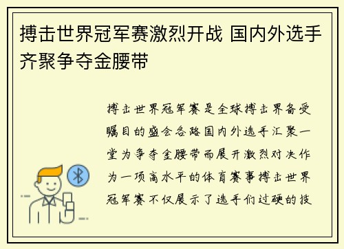 搏击世界冠军赛激烈开战 国内外选手齐聚争夺金腰带